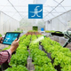Illustration for article titled What Innovation The Internet Of Things (IoT) Brought To The Agricultural Sector?